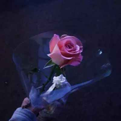 大鱼吃小鱼三人版